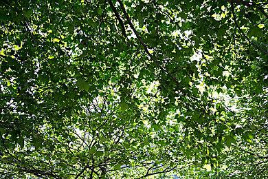 《吸血鬼：幸存者》2023年将推出更多DLC